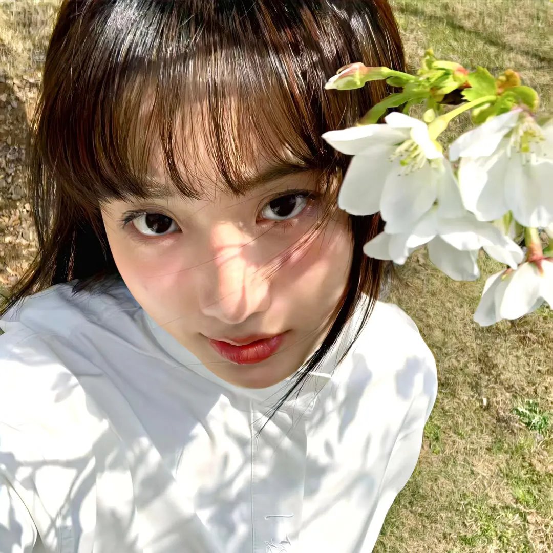 导演